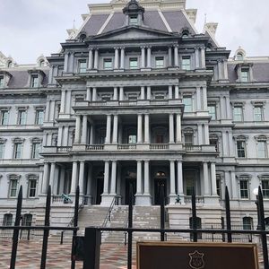 Meet your Posher, Wyatt